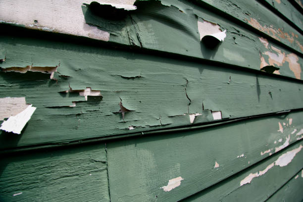 Demolition Debris Removal in Houghton Lake, MI